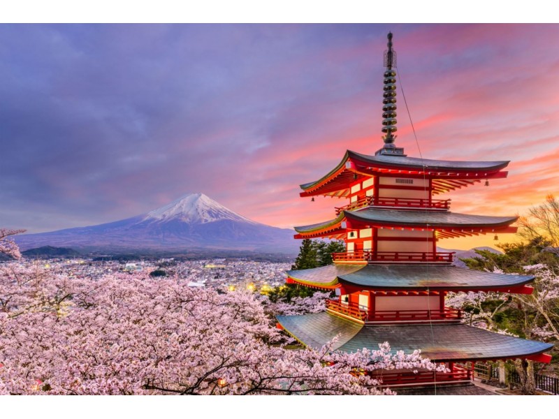 Can over-the-counter medicines be purchased in Japan?