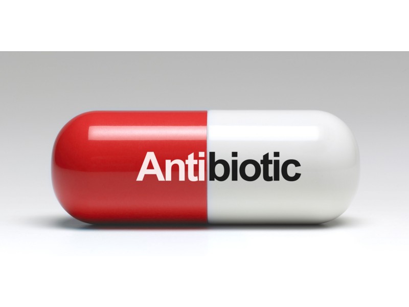 Can beer be used as a substitute for liquid medication when taking antibiotics?