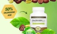 Chlorogen 800 for weight loss