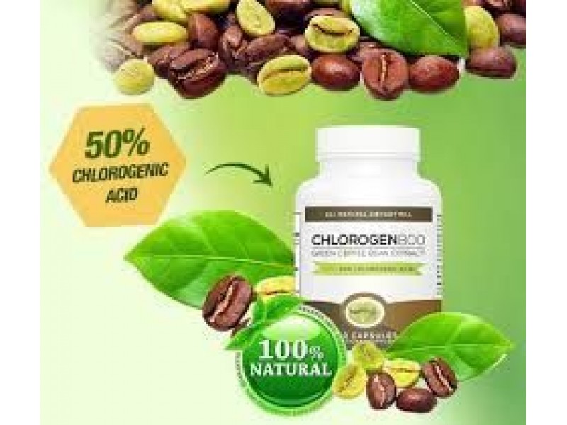 Chlorogen 800 for weight loss