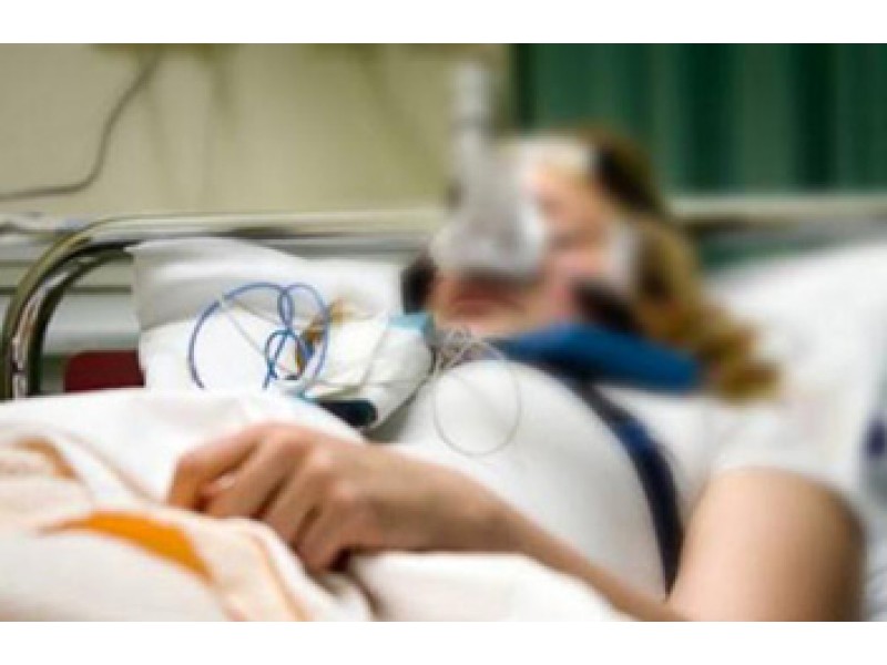 What is a vegetative state?