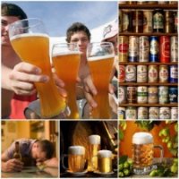 Is beer dangerous for the male body?