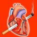 Smoking and the cardiovascular system 