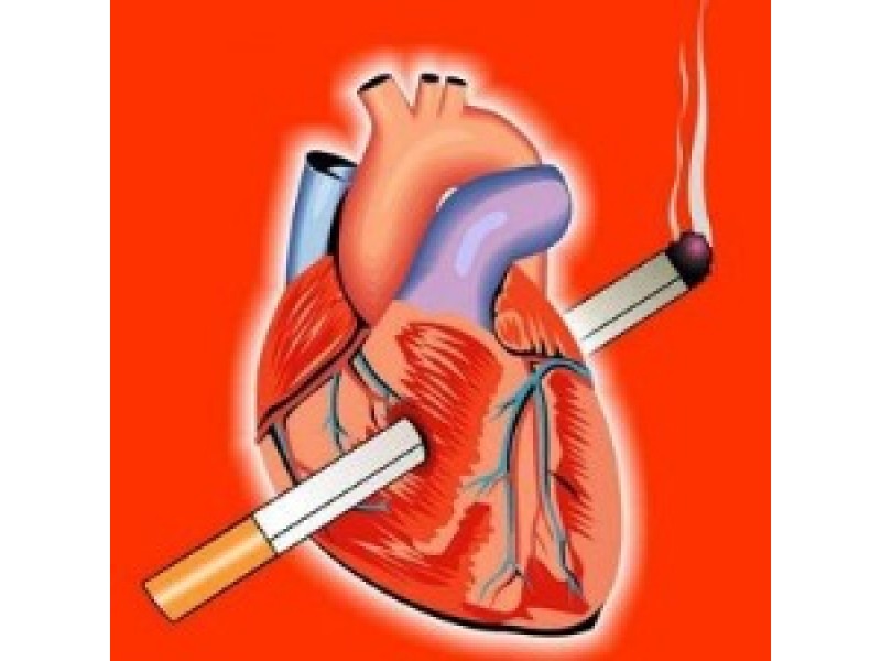 Smoking and the cardiovascular system